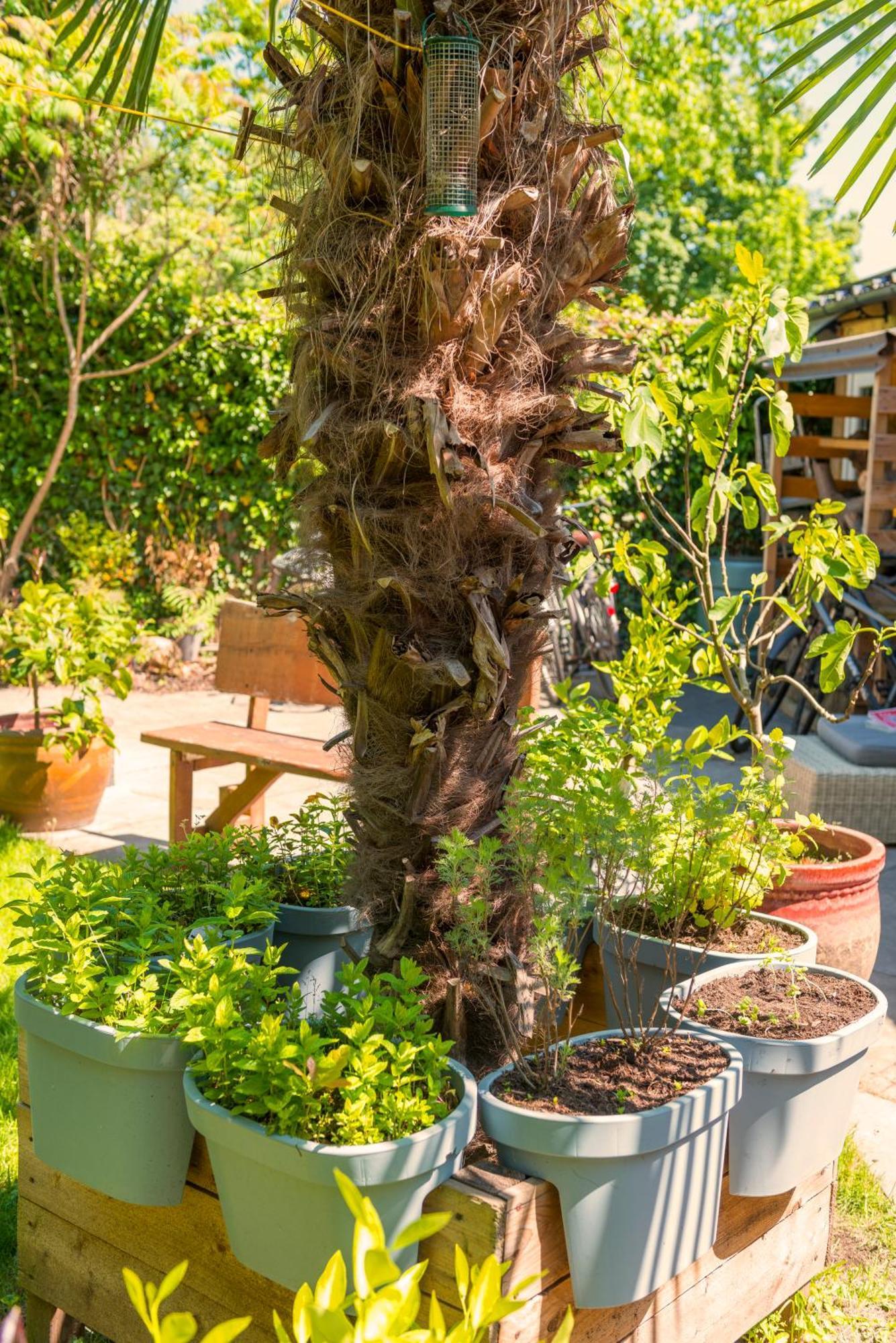 Tiny House - Leenfietsen, Eigen Keuken En Badkamer