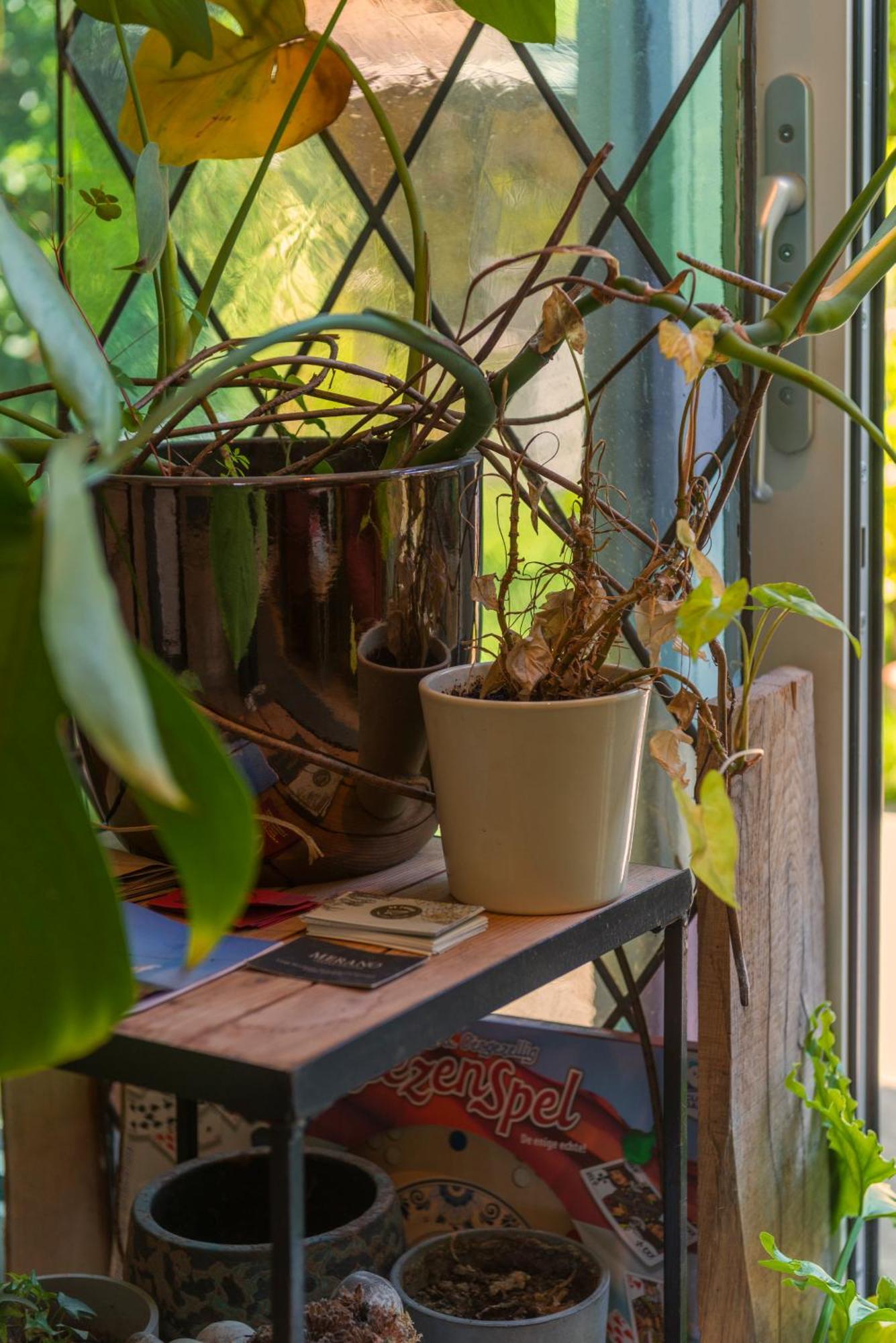 Tiny House - Leenfietsen, Eigen Keuken En Badkamer Apartment Nijmegen